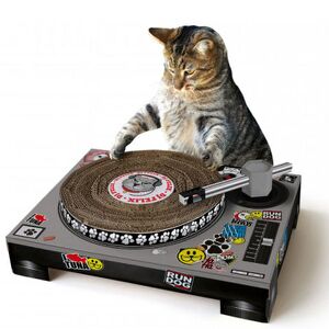 Dj-pussy.jpg