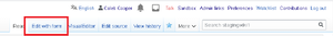 EditFormTab.PNG